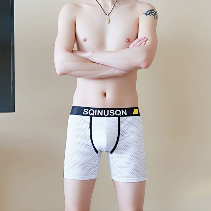 Erkek Buz İpek File Boxer Külo - Long Leg Trunk Men incelemesi ve fiyatı
